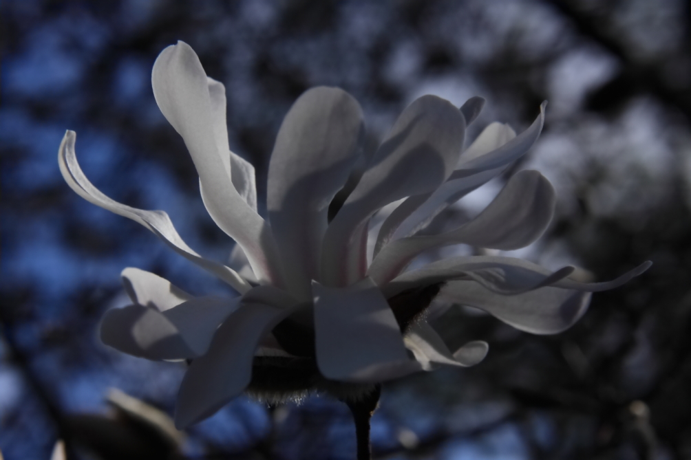 2012 03 20 9999 307